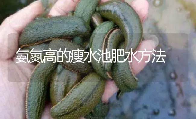 氨氮高的瘦水池肥水方法 | 特种养殖