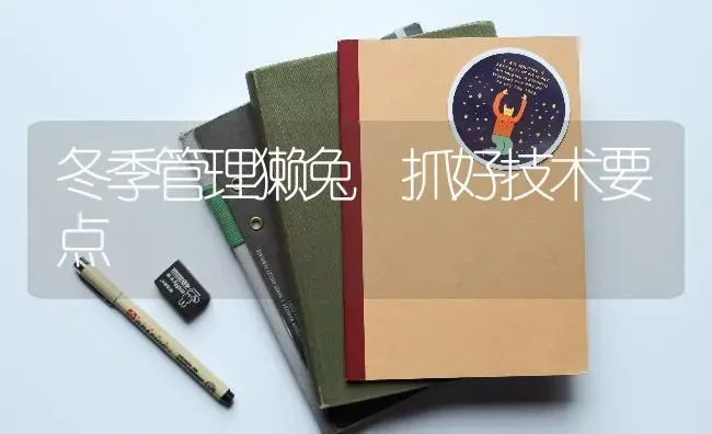 冬季管理獭兔 抓好技术要点 | 家畜养殖