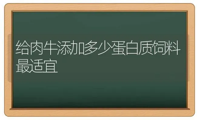 给肉牛添加多少蛋白质饲料最适宜 | 动物养殖饲料