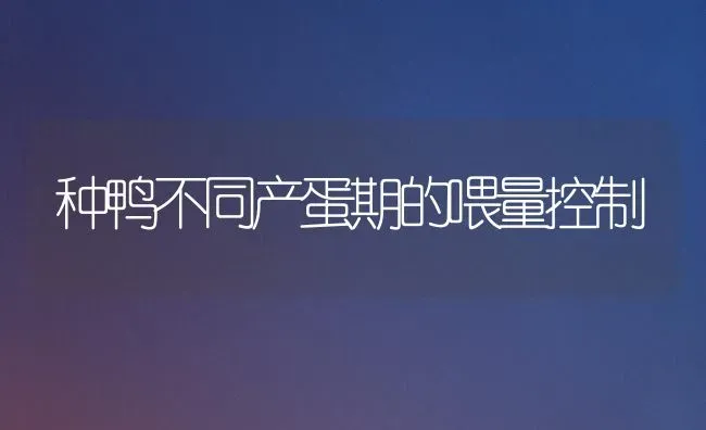 种鸭不同产蛋期的喂量控制 | 家禽养殖