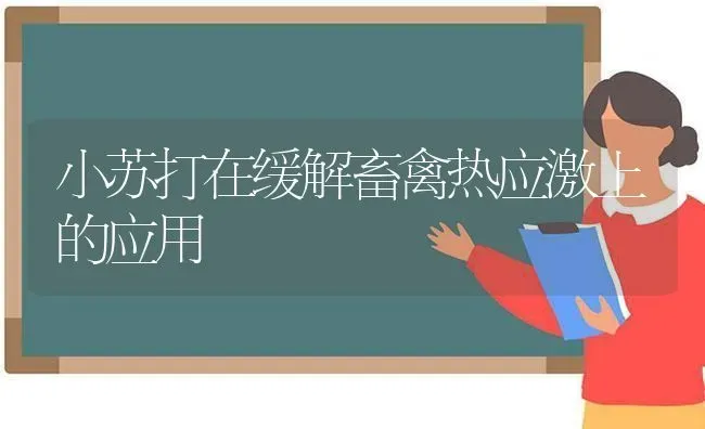 小苏打在缓解畜禽热应激上的应用 | 家禽养殖