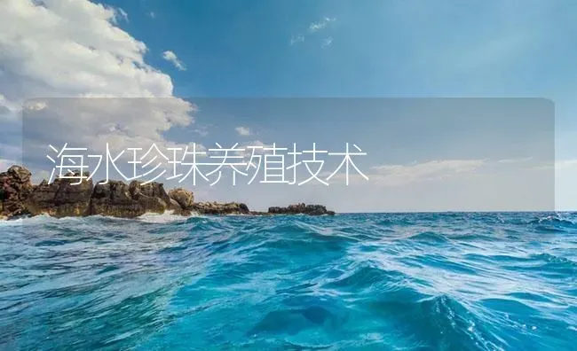 海水珍珠养殖技术 | 海水养殖