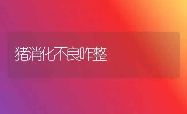 猪消化不良咋整 | 家畜养殖