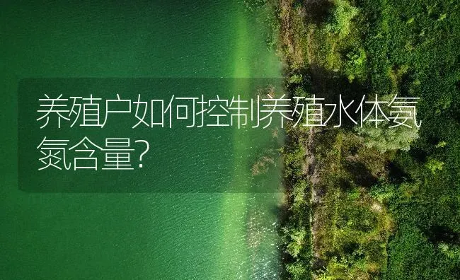 养殖户如何控制养殖水体氨氮含量？ | 动物养殖百科