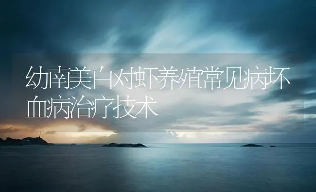 幼南美白对虾养殖常见病坏血病治疗技术 | 海水养殖