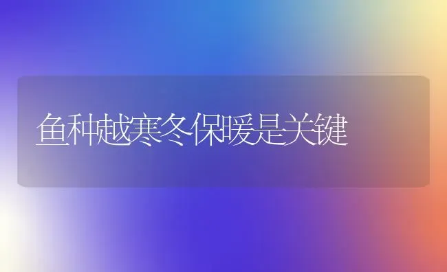 鱼种越寒冬保暖是关键 | 淡水养殖