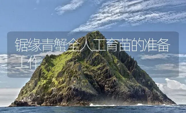 锯缘青蟹全人工育苗的准备工作 | 海水养殖