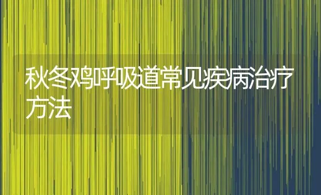 秋冬鸡呼吸道常见疾病治疗方法 | 家禽养殖