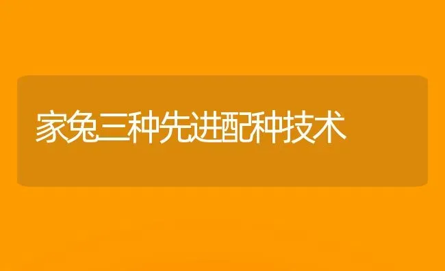 家兔三种先进配种技术 | 家畜养殖