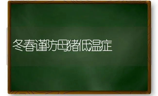 冬春谨防母猪低温症 | 家畜养殖