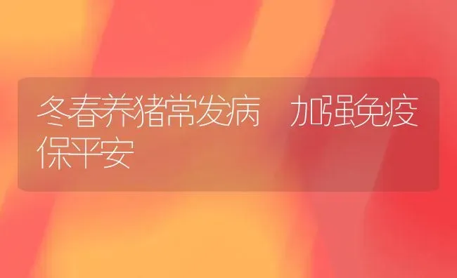 冬春养猪常发病 加强免疫保平安 | 家畜养殖