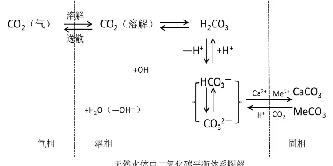 水体pH值在水产养殖过程中的重要性