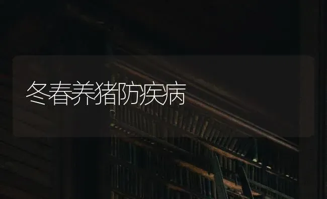 冬春养猪防疾病 | 家畜养殖