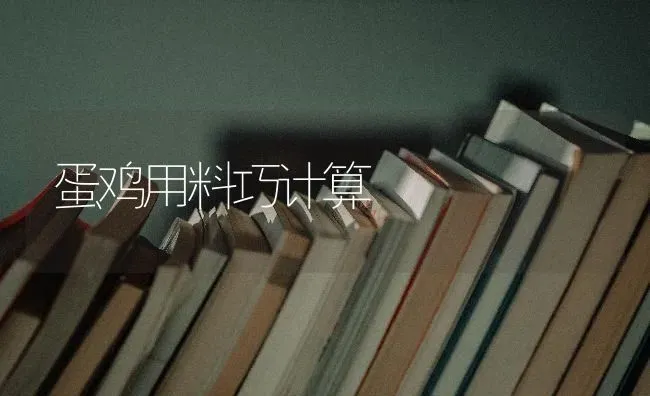 蛋鸡用料巧计算 | 家禽养殖