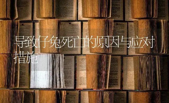 导致仔兔死亡的原因与应对措施 | 家畜养殖