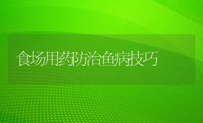 食场用药防治鱼病技巧 | 养殖病虫害防治