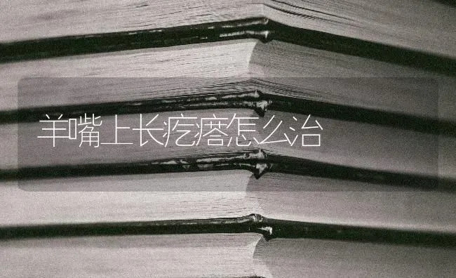 羊嘴上长疙瘩怎么治 | 家畜养殖