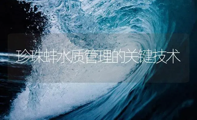 珍珠蚌水质管理的关键技术 | 海水养殖