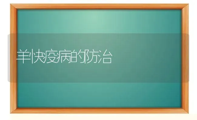 羊快疫病的防治 | 家畜养殖