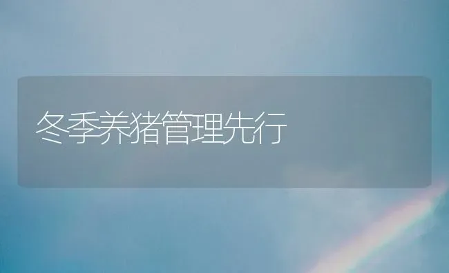 冬季养猪管理先行 | 家畜养殖