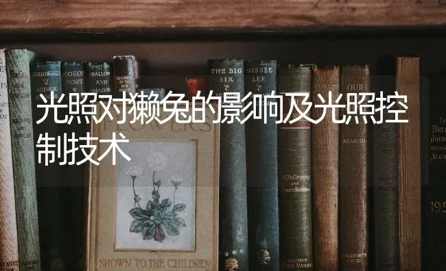 光照对獭兔的影响及光照控制技术 | 家畜养殖