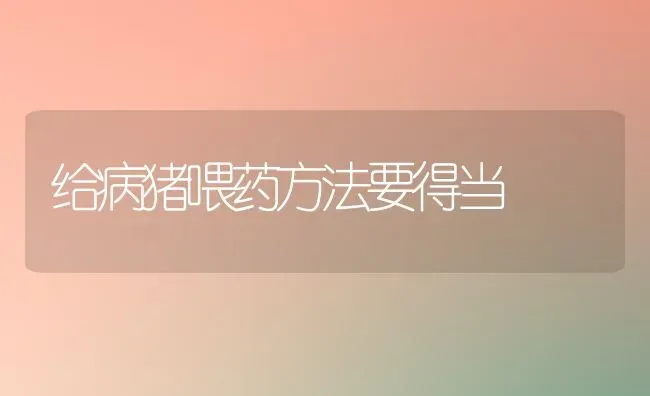 给病猪喂药方法要得当 | 养殖病虫害防治