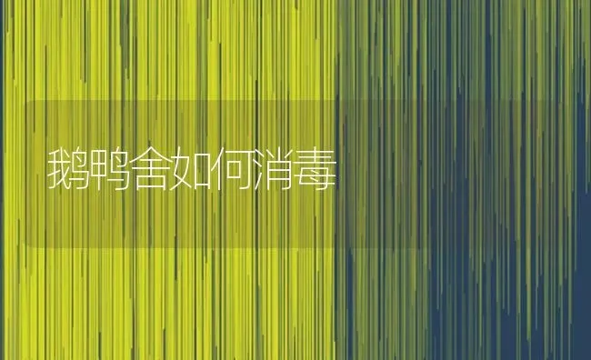 鹅鸭舍如何消毒 | 家禽养殖