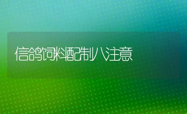 信鸽饲料配制八注意 | 动物养殖饲料