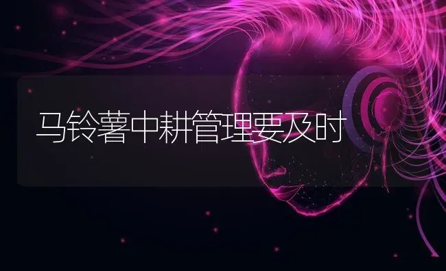 刚出生的羊羔站不起来是什么病？怎么治疗 | 家畜养殖