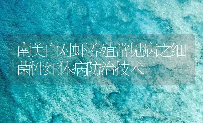 南美白对虾养殖常见病之细菌性红体病防治技术 | 海水养殖
