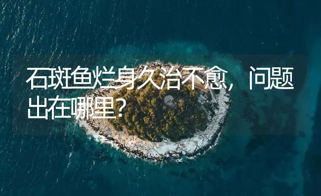 石斑鱼烂身久治不愈，问题出在哪里？ | 海水养殖