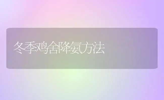 冬季鸡舍降氨方法 | 家禽养殖