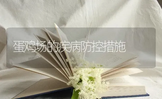蛋鸡场的疾病防控措施 | 家禽养殖