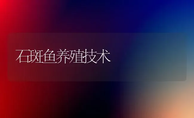 石斑鱼养殖技术 | 淡水养殖