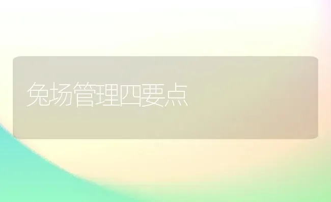 兔场管理四要点 | 家畜养殖
