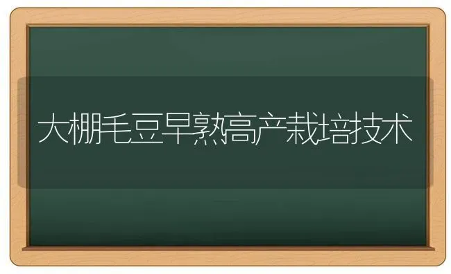 秋季猪长膘的6个技巧分享 | 家畜养殖