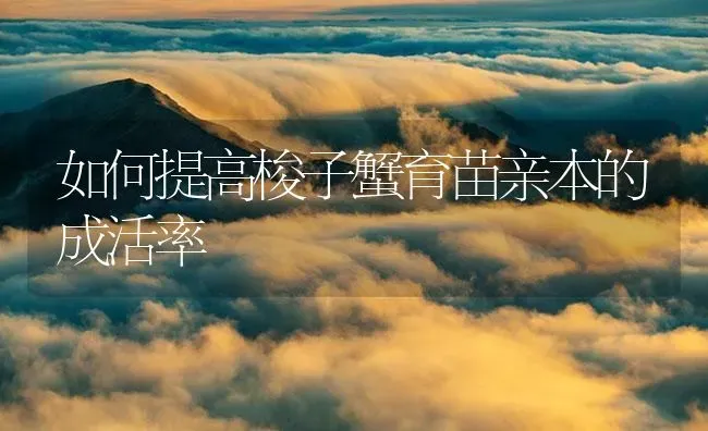 如何提高梭子蟹育苗亲本的成活率 | 海水养殖