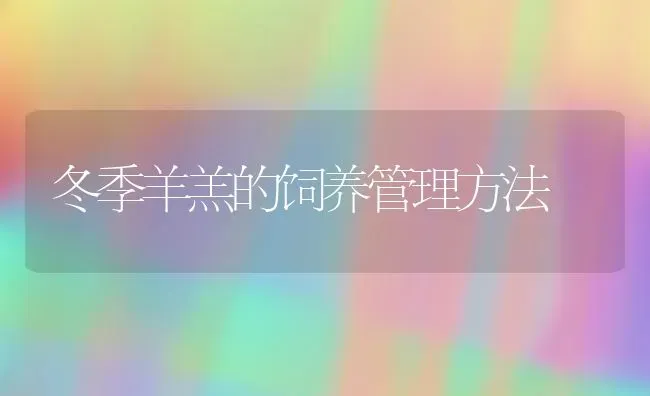 冬季羊羔的饲养管理方法 | 家畜养殖