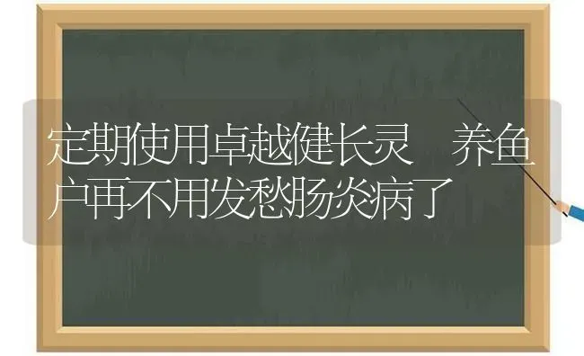 定期使用卓越健长灵 养鱼户再不用发愁肠炎病了 | 动物养殖百科