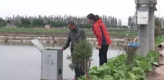 鱼鳖混着养，效益很可观，每亩纯利润近万元！