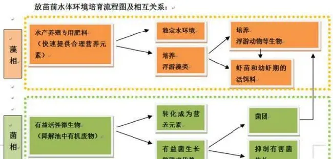土池对虾健康养殖投苗前做好这几点准备，您就成功一半了！