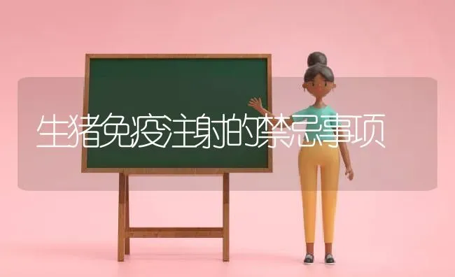 生猪免疫注射的禁忌事项 | 家畜养殖