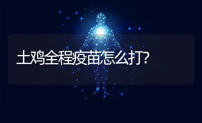 土鸡全程疫苗怎么打？ | 家禽养殖