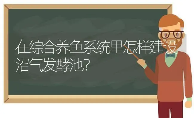 在综合养鱼系统里怎样建设沼气发酵池？ | 动物养殖百科