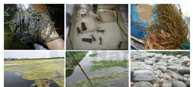 小龙虾的黑色五月，你在提心吊胆地煎熬着，别人已经开始大把赚钱了