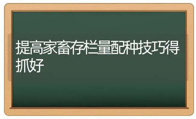 提高家畜存栏量配种技巧得抓好 | 家畜养殖