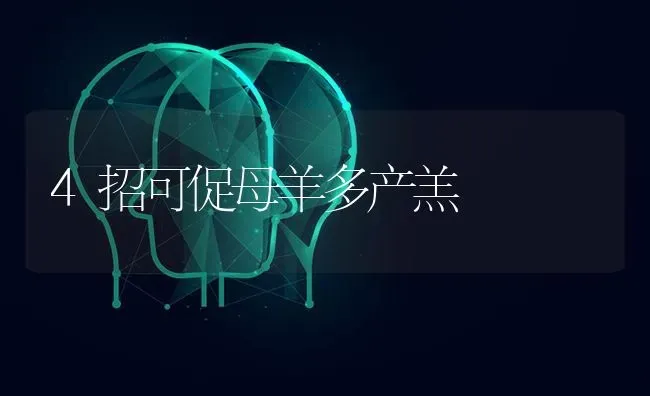 4招可促母羊多产羔 | 家畜养殖
