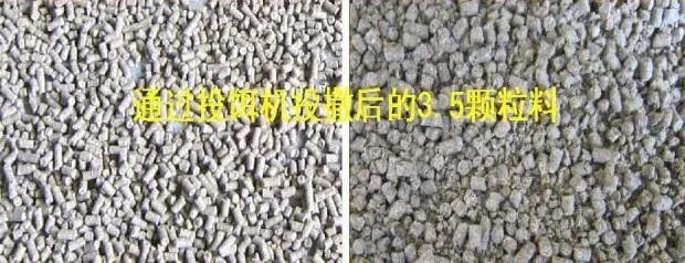 传统投饵机让您每吨饲料浪费了520块？