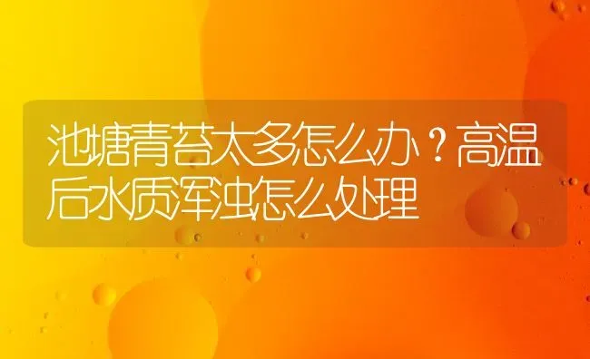 池塘青苔太多怎么办？高温后水质浑浊怎么处理 | 动物养殖百科