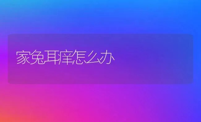 家兔耳痒怎么办 | 家畜养殖